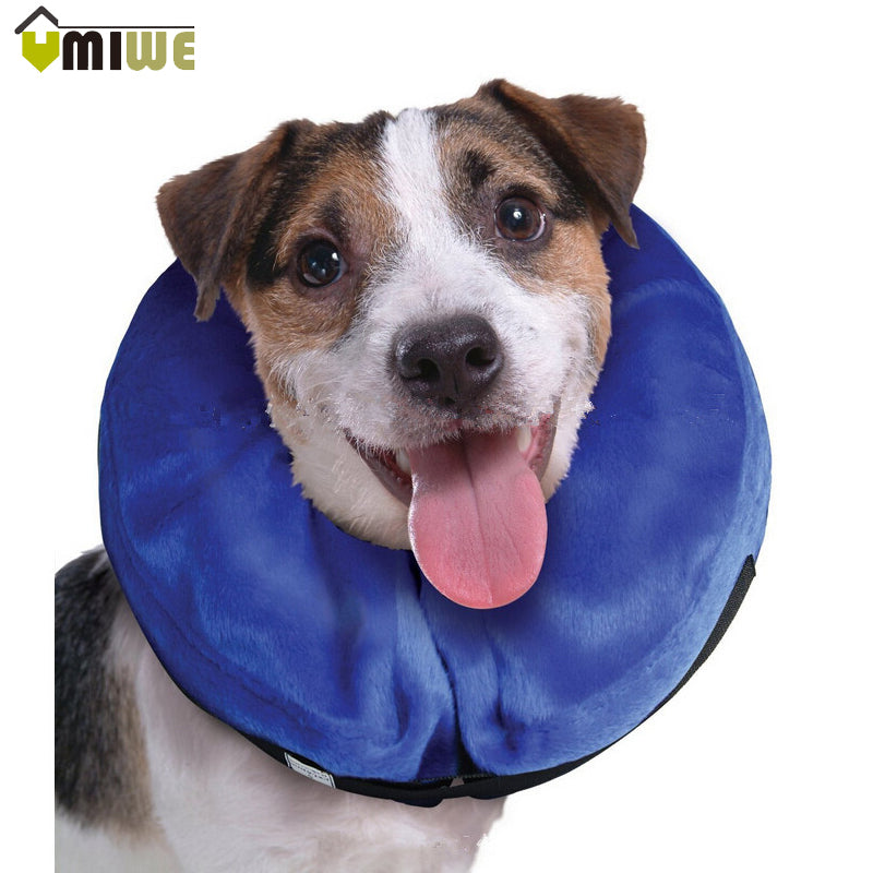 Inflatable Pet Collar - uptowncatlovers