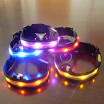 Night Safety Anti-lost Flashing Glow Collars - uptowncatlovers