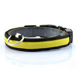 Night Safety Anti-lost Flashing Glow Collars - uptowncatlovers