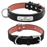 Customized Pet ID Leather Collar - uptowncatlovers