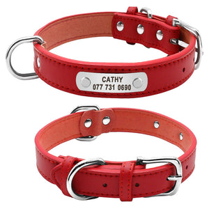 Customized Pet ID Leather Collar - uptowncatlovers