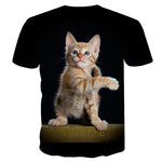 New Cool 3D Short Sleeve Summer Cat T-shirt for Men/Women - uptowncatlovers